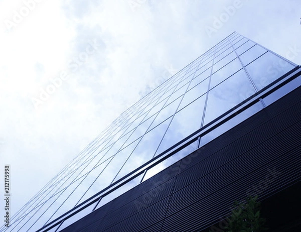 Fototapeta 青空と高層ビル