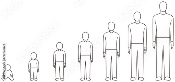 Fototapeta 男性の成長過程