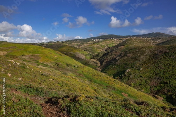 Fototapeta ロカ岬