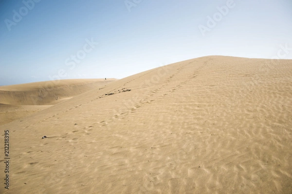 Fototapeta minimalistic view of sand dunes landscape, minimalism in nature, sand everywhere and windy weather, shapes and creations