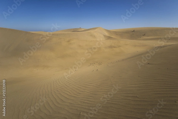 Fototapeta maspalomas dunes, gran canaria, spain - summer evening time, wind is blowing the sand up, sunset and golden hour, dunes, perfect time, end of sunny day