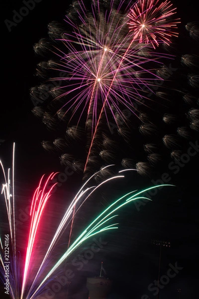 Obraz Independence Day Celebration