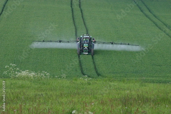 Obraz unkrautbekämpfung