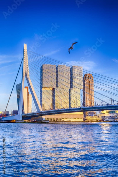 Fototapeta Słynne miejsca podróży. Atrakcyjny widok renomowanego Erasmusbrug (most Swan) w Rotterdamie przed portem i portem. Zdjęcie wykonane przed zachodem słońca.