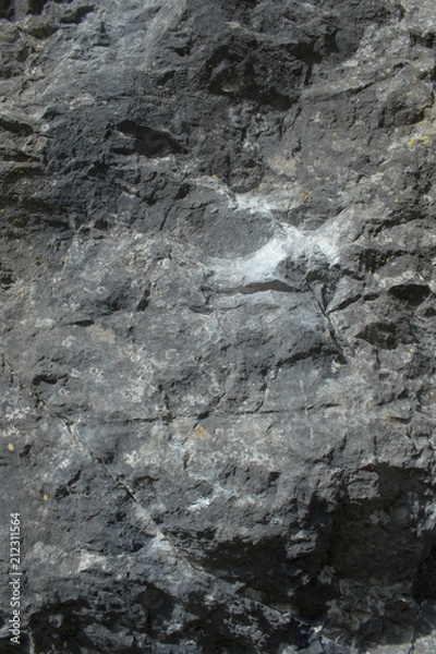 Obraz grey rock face background