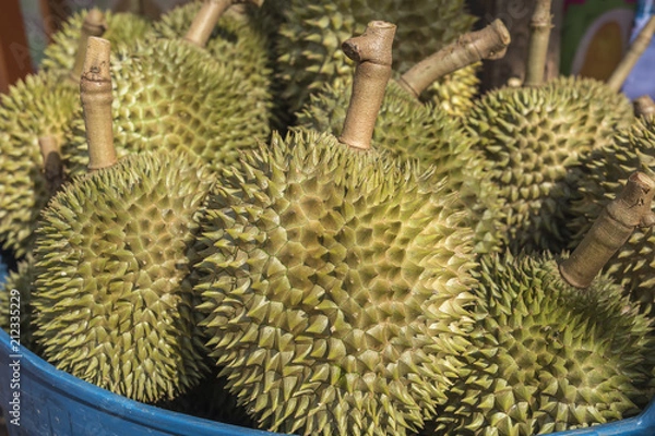 Obraz Group of durian in the market.