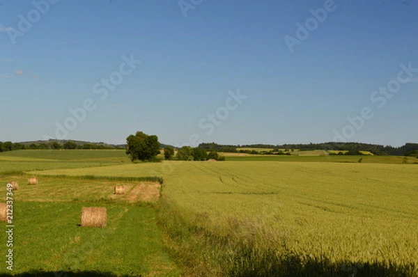 Fototapeta Moisson aveyronnaise