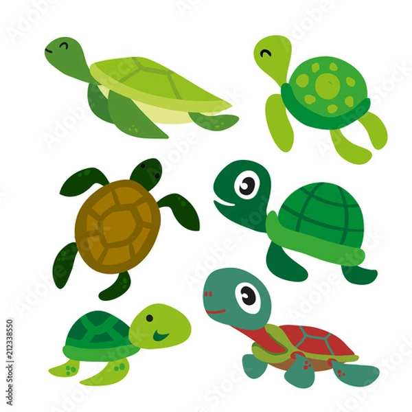 Obraz turtle vector collection design