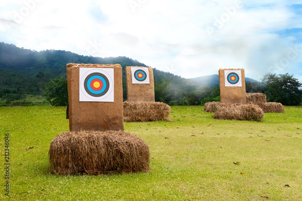 Obraz Three archery target on the field