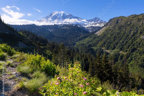 Fototapeta Mount Rainier from Scenic Viewpoint