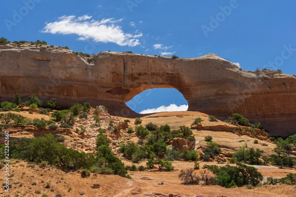 Obraz Wilson Arch- Utah