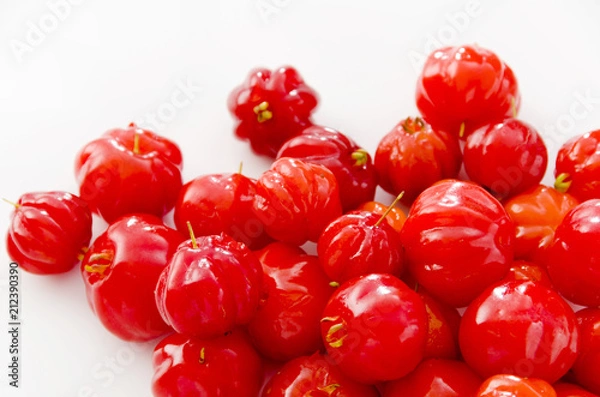 Fototapeta ピタンガ