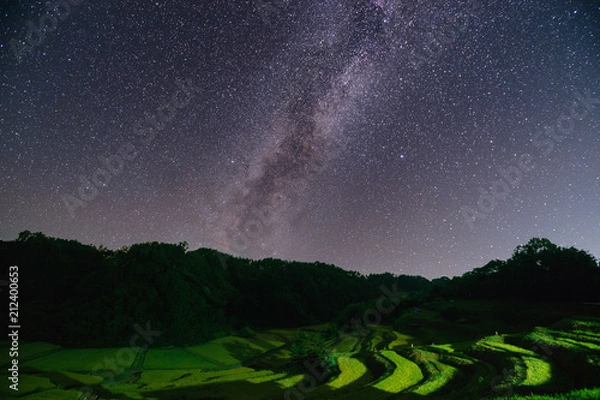 Fototapeta よこね田んぼ星景