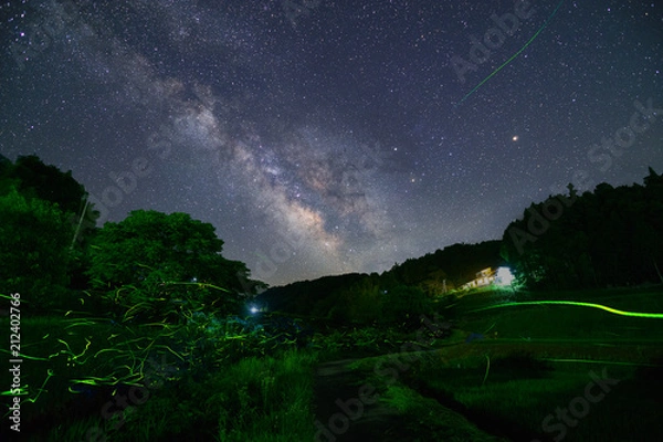 Fototapeta ゲンジボタルと天の川