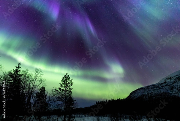 Obraz Northern lights in Lofoten islands