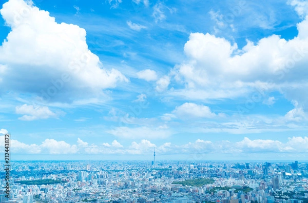 Obraz Krajobraz Tokyo