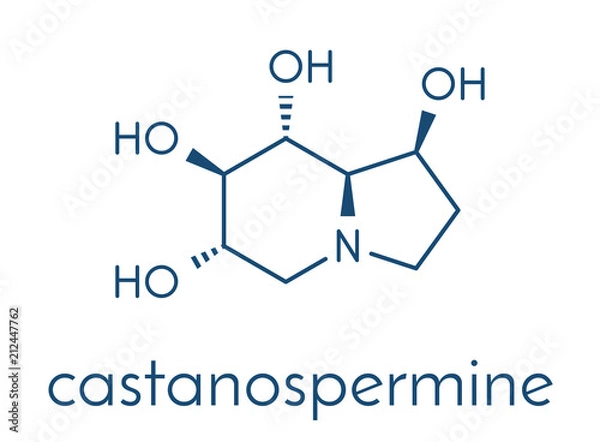 Fototapeta Castanospermine alkaloid molecule. Isolated from Castanospermum australe. Skeletal formula.