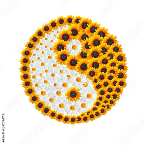 Obraz Yin yang symbol