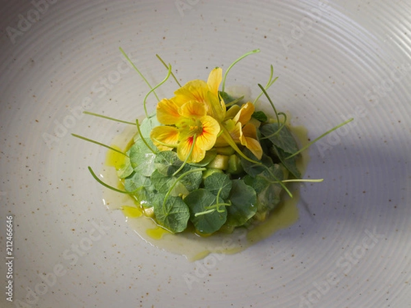 Obraz plaitining nasturtium 1