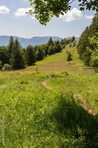 Obraz Crêtes et prairie