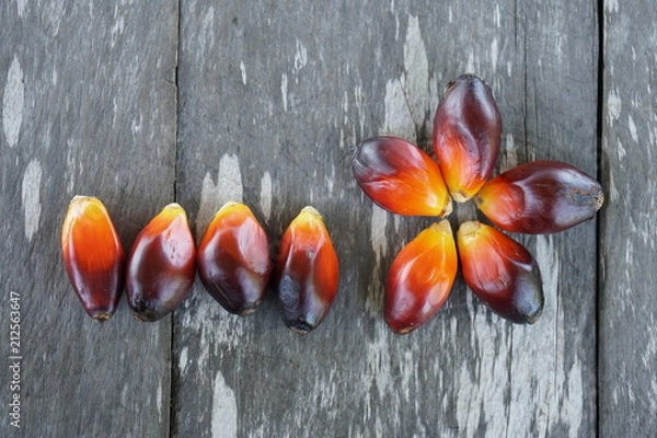 Obraz palm fruit