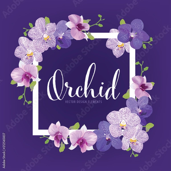 Obraz Kwiatowa ramka z tropikalnymi kwiatami orchidei na fioletowym tle szablonu. Wektor zestaw kwitnących kwiatów na zaproszenia wakacyjne, karty z pozdrowieniami i projektowanie mody.