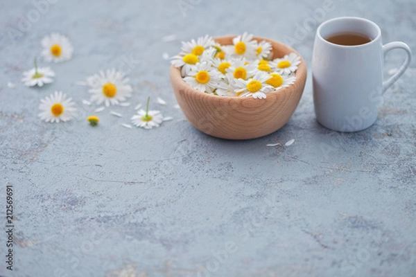 Obraz chamomile tea with fresh flowers