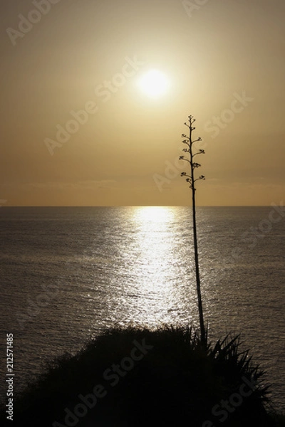 Obraz atardecer sobre el mar