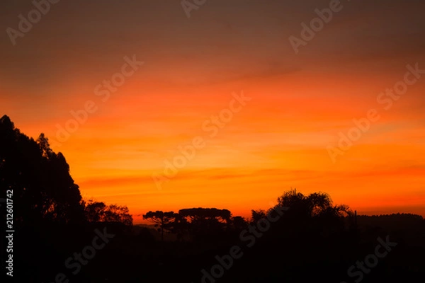 Fototapeta Beautiful sunset