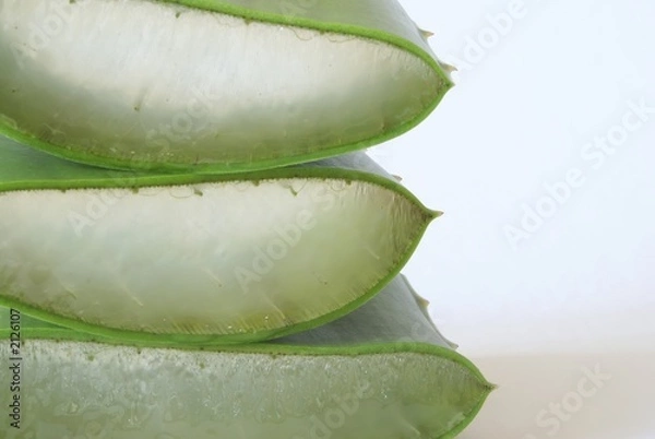 Obraz sliced aloe close-up