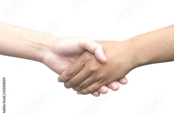Fototapeta Closeup handshake isolate on white.