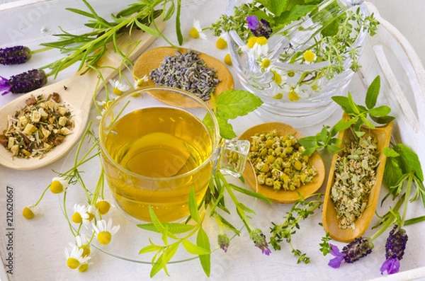 Obraz Alternative Medicine. Herbal Therapy.