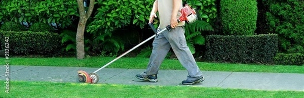 Fototapeta gardening