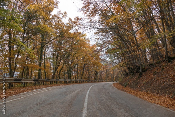 Fototapeta Winding road through woodland in autumn / Winding road through colorful forest on clear sunny day in early autumn