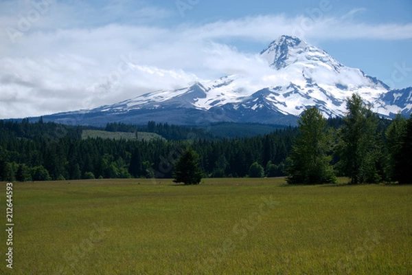 Fototapeta View of Mt. Hood from across a field.