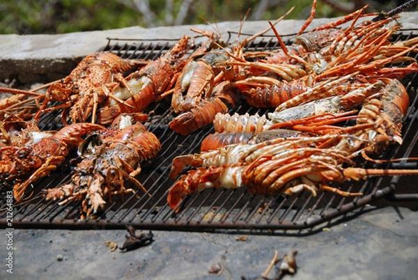 Obraz Aragoste dell'oceano indiano