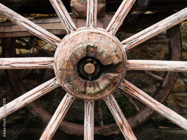 Fototapeta OLYMPUS DIGITAL CAMERA