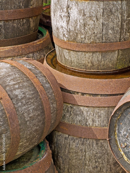 Fototapeta OLYMPUS DIGITAL CAMERA