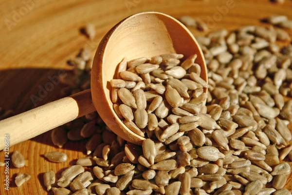 Obraz graines de tournesol