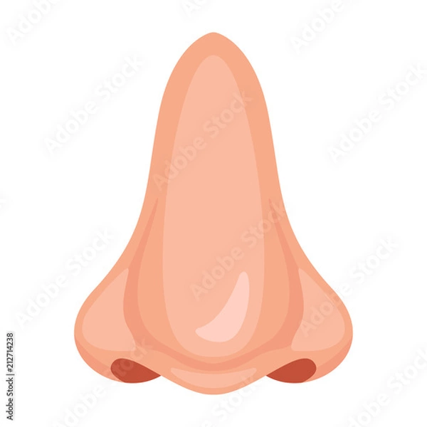 Obraz Human nose icon