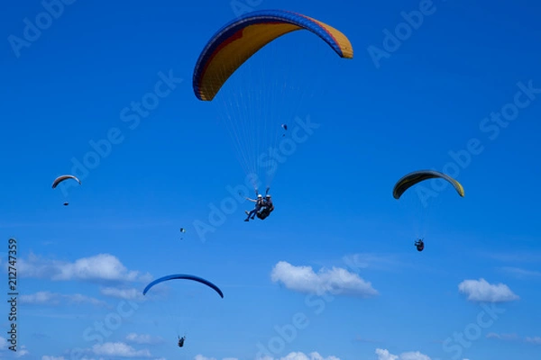 Obraz Fly - Paraglider
