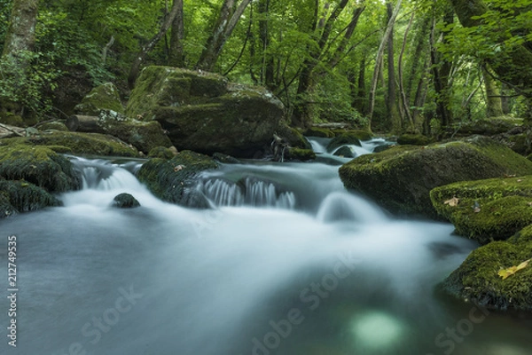 Fototapeta Water flows down a gentle, rocky stream in the mountains surrounded by lush green foliage in this long exposure scenic landscape.