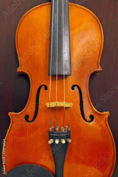 Obraz Violin on Wood Background