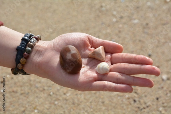 Fototapeta Hand with stones and shell