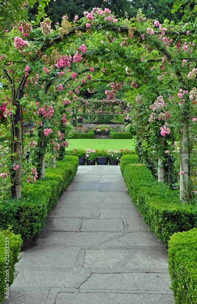 Obraz Rose garden archway