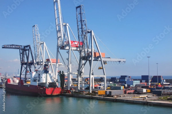 Fototapeta Container ship moored at idustrial cargo port. Export and import water shipping and logistics. Global tradenig