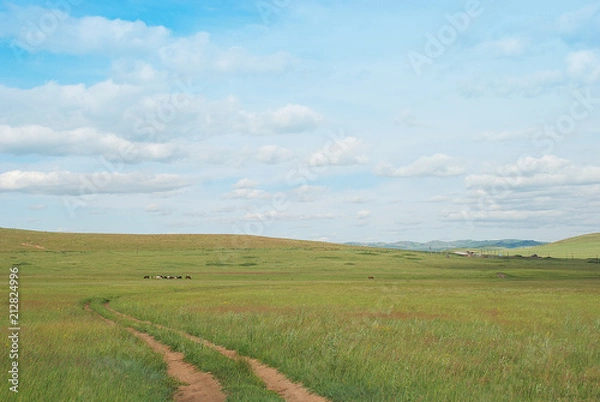 Obraz Steppe landscape