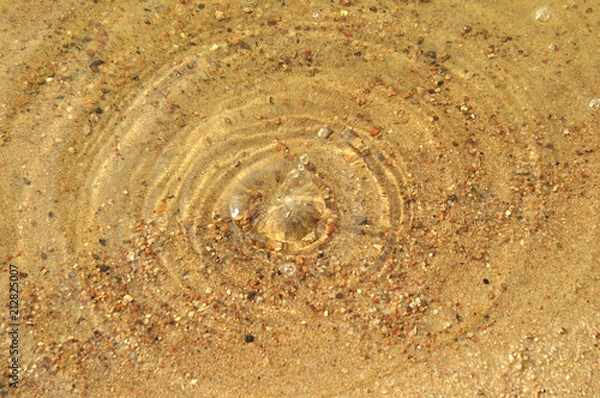 Obraz Beautiful water