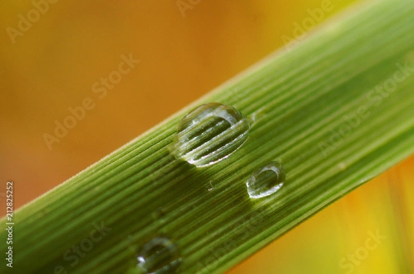 Obraz KONICA MINOLTA DIGITAL CAMERA