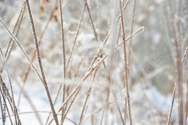 Obraz winter landscape